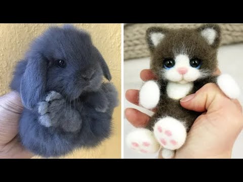 Cute baby animals Videos Compilation cute moment of the animals – Cutest Animals #8