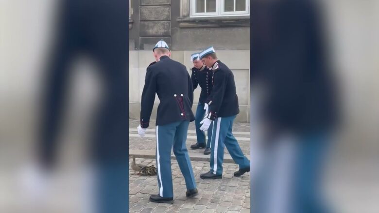 Danish Royal Life Guards escort duck family out of Queen’s residence