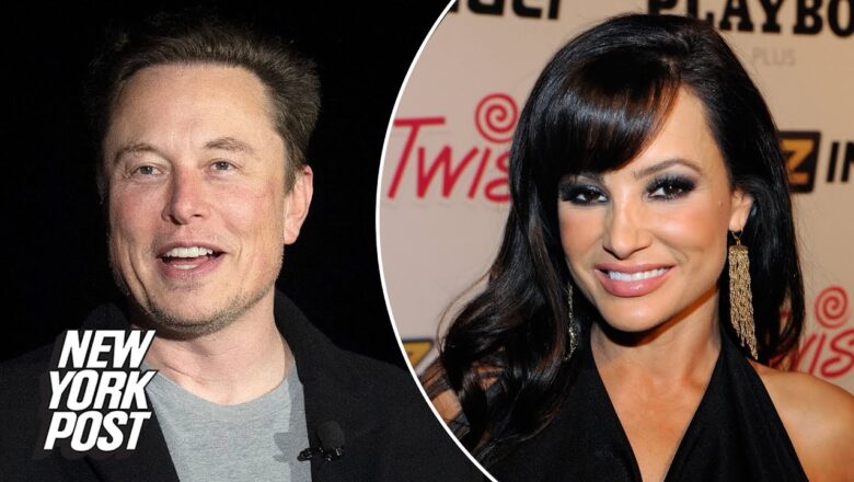 Ex-porn star Lisa Ann wants Elon Musk to ban X-rated content on Twitter | New York Post