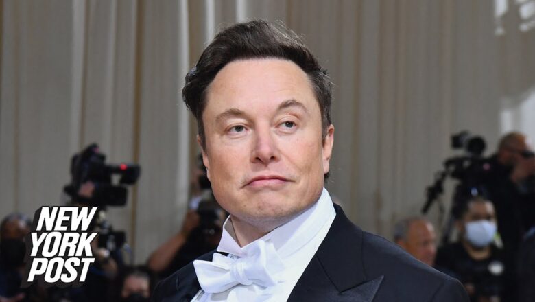 Musk challenges ‘far left’ private jet sex accuser from Business Insider article | New York Post