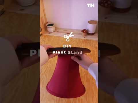 Person Builds DIY Plant Stand Using Old Lamp Shade | SHORTS