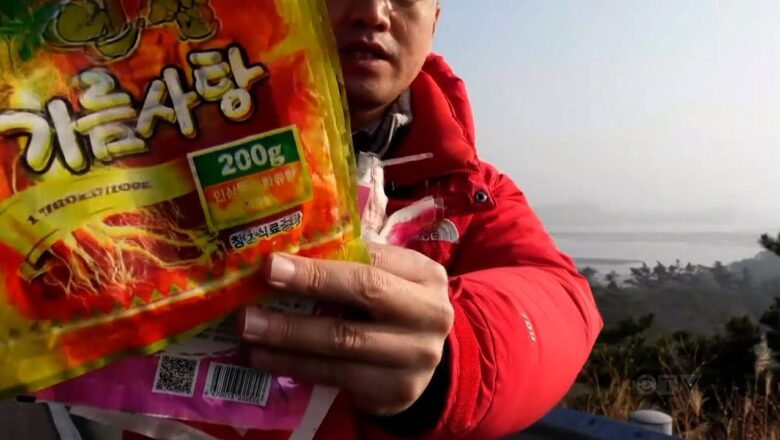 South Korean professor using beach trash to learn about life in North Korea