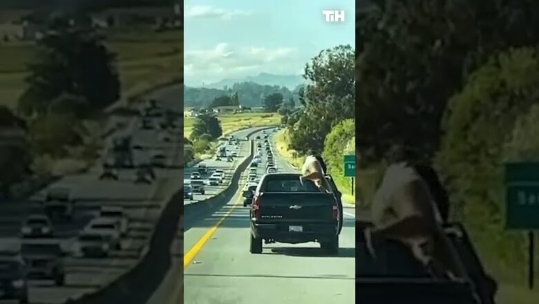 Woman Moves From Passenger Seat and Sits in the Back in Moving Truck