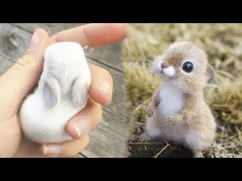 AWW SO CUTE! Cutest baby animals Videos Compilation Cute moment of the Animals – Cutest Animals #1