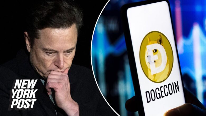 Elon Musk sued for $258 billion over dogecoin ‘pyramid scheme’ | New York Post