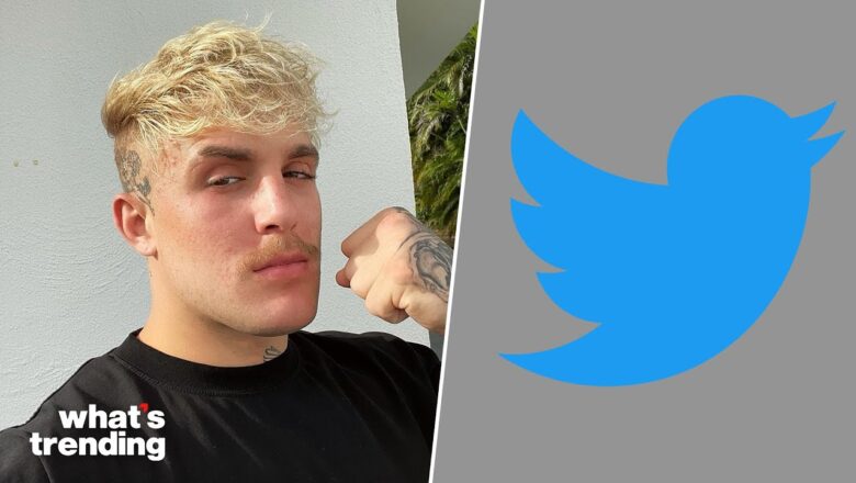 Jake Paul Calls Joe Biden Voters the Problem with America on Twitter | What’s Trending Explained