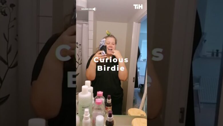 Shorts Birds Sit on Woman’s Head as She Brushes Her Teeth