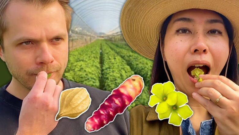 We Ate An Entire Garden Of Rare Fruit