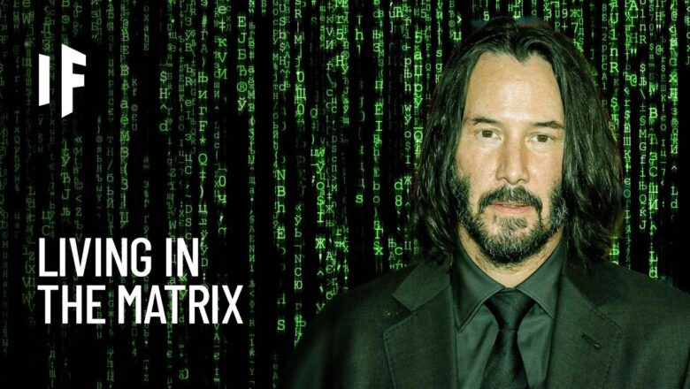 What If You Lived in the Matrix?