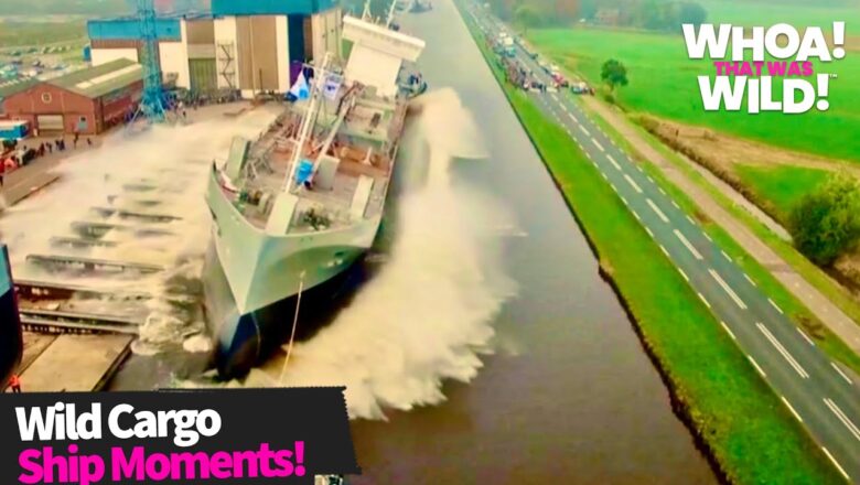 Wild Footage Caught From Cargo Ships! | Whoa That Was Wild