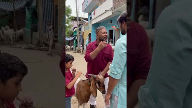 5000₹ hajar k bakra??? #shorts #youtubeshorts #viral #emotional #funny #short