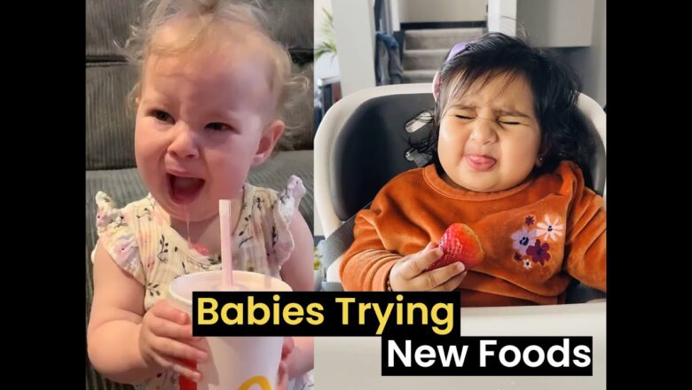 Babies Trying Foods For The First Time | Try Not to Laugh