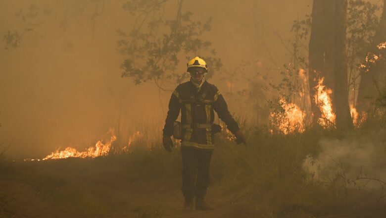 Deadly heatwave, massive wildfires engulf parts of Europe | CTV National News