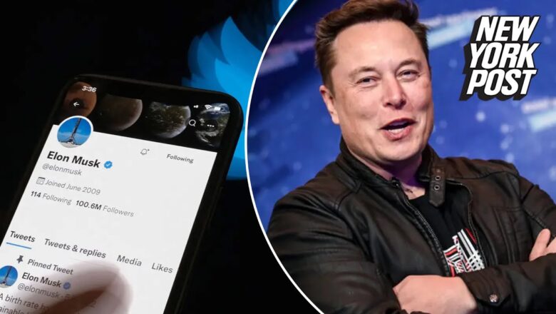 Elon Musk to countersue Twitter in attempt to scrap $44B buyout: source | New York Post