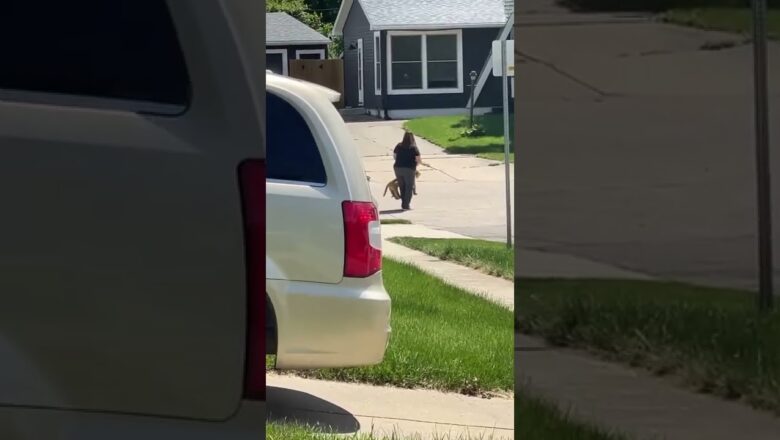 Neighbour takes “fake” dog for a walk