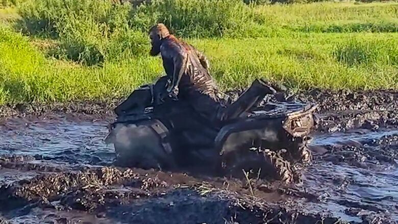 Guy Gets Stuck In Mud I Viral Videos Of The Week