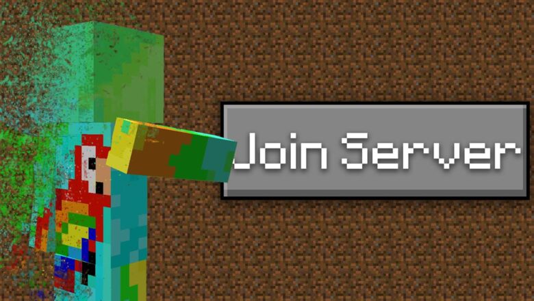 I Joined 100 Minecraft Servers