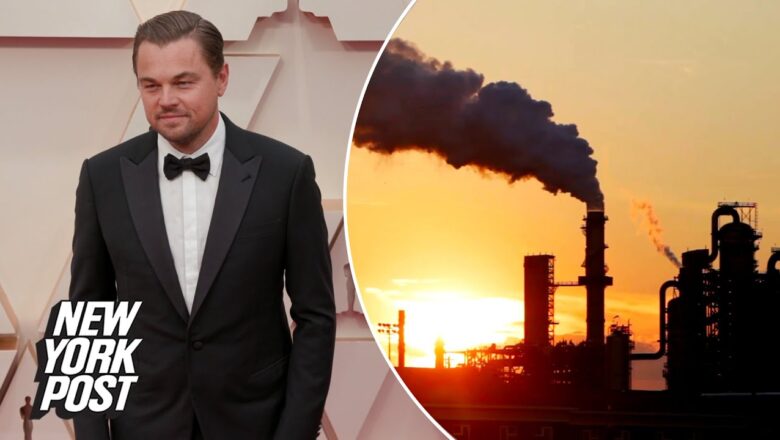 Leonardo DiCaprio funneled grants through dark money group to fund climate lawsuits | New York Post