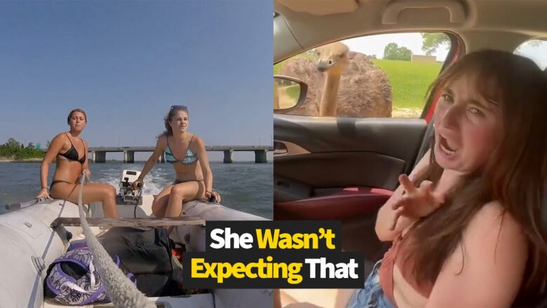 She Wasn’t Expecting That to Happen! | Funniest Fails