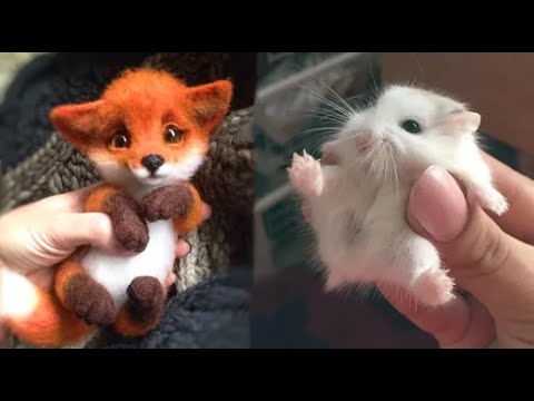 Cute baby animals Videos Compilation cute moment of the animals – Cutest Animals #5