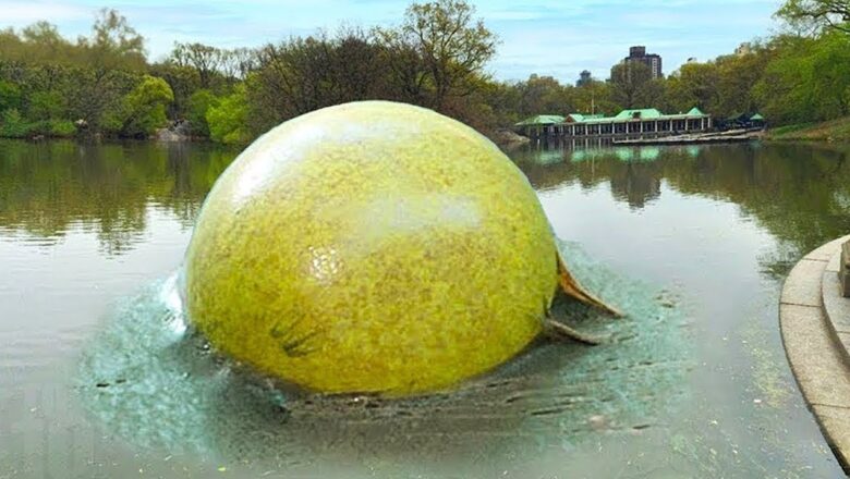 Most Dangerous Natural Phenomena In The World