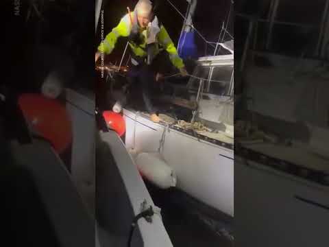 Boaters at sea rescued by sheriffs during Hurricane Ian | USA TODAY #Shorts