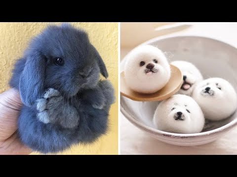 Cute baby animals Videos Compilation cute moment of the animals – Cutest Animals #6