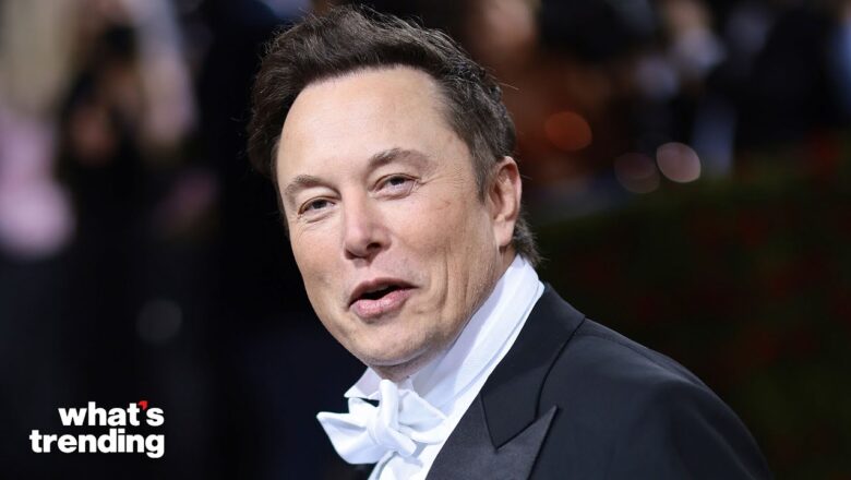 Elon Musk is Raising the Price of Twitter Blue | What’s Trending Explained | #shorts