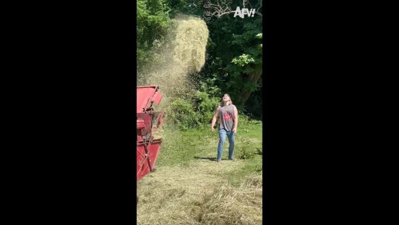 Hay, at least he didn’t bale! ? #fail #farm #fall #funny