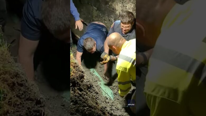 Rescuers save dog stuck in a sewer line | USA TODAY #Shorts
