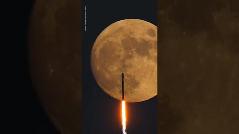 SpaceX Falcon 9 rocket launches past full moon | USA TODAY #Shorts