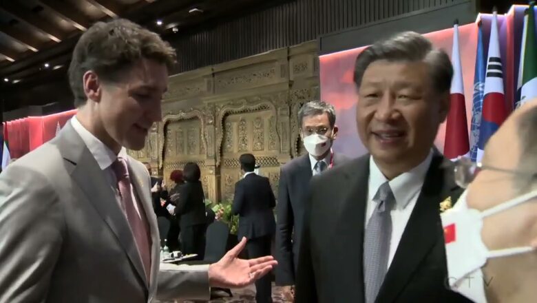 Chinese President Xi confronts Justin Trudeau over G20 talks being ‘leaked’ to the press