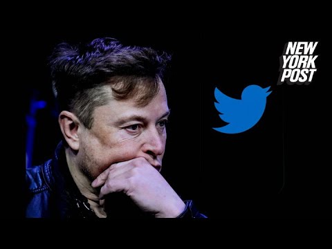 Elon Musk reacts to Stephen King saying he won’t pay for Twitter blue check | New York Post