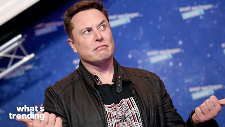 Elon Musk Responds To Outrage Over $8 Fee For Verified Users | What’s Trending In Seconds | #Shorts