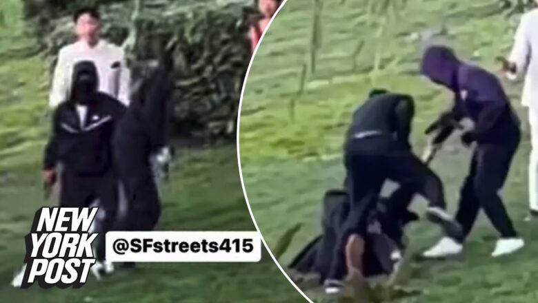 VIDEO: Wedding photographer pistol-whipped in front of newlyweds in San Francisco | New York Post