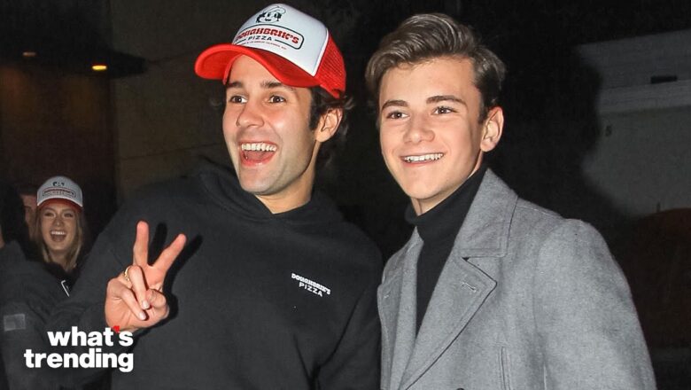 Why David Dobrik’s Pizzeria Is Everywhere | What’s Trending Explained | #shorts