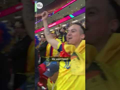 World Cup fans celebrate opening day goals, chant for beer | USA TODAY #Shorts