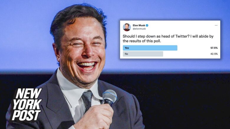 Elon Musk says only paying Twitter subscribers can vote in future polls | New York Post