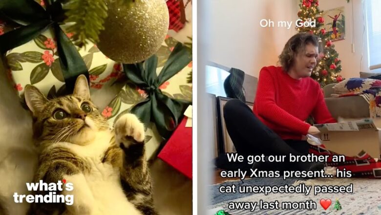 Funniest Viral Christmas TikToks