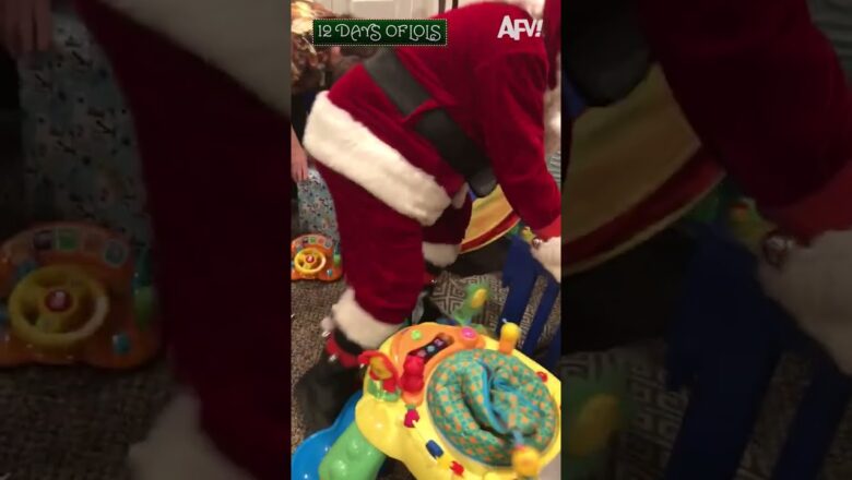 Santa Claus Is Falling Right Down ?? #12DaysofLols #holiday #Christmas #funny #fall #afv