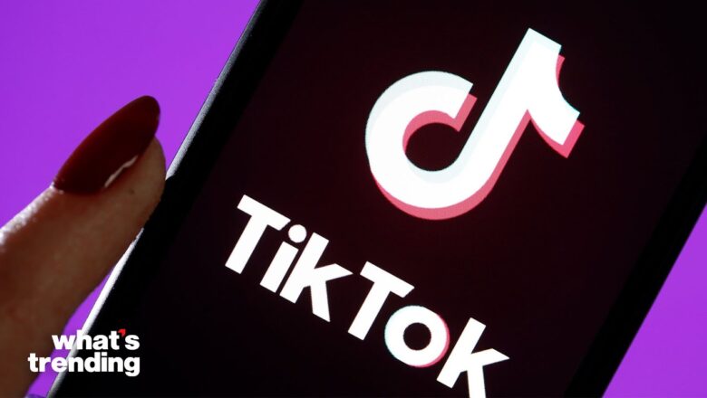 TikTok’s Record Breaking Year Broken Down | What’s Trending Explained
