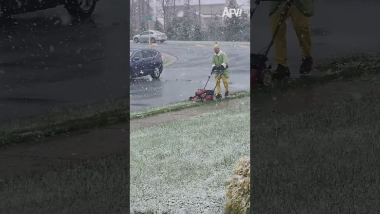 You Ever Seen an Elf Mow in Snow? ❄️ #shorts #12DaysofLols #afv #holiday