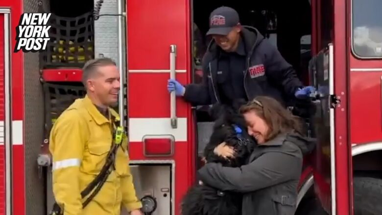 Dog swept away in California floods rescued from storm drain thanks to Apple AirTag | New York Post