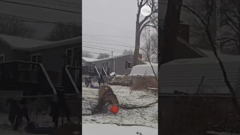 Good Samaritans remove plastic candy bucket stuck to deer’s head for weeks | USA TODAY #Shorts