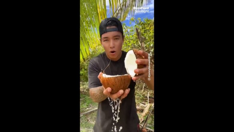 what’s the difference between coconut water and coconut milk? #shorts