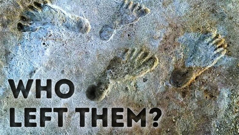 A Dream Find: These Footprints Change History As We Know It
