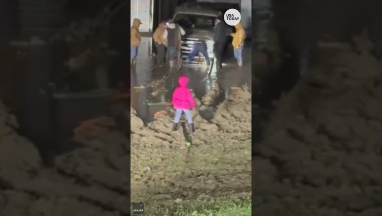 Adorable little girl gets stuck while walking through mud | USA TODAY #Shorts