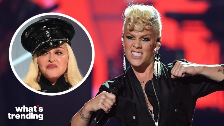 Behind P!nk’s Alleged Feud with Madonna