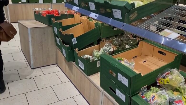 Grocery stores forced to ration as fresh food shortages hit the United Kingdom