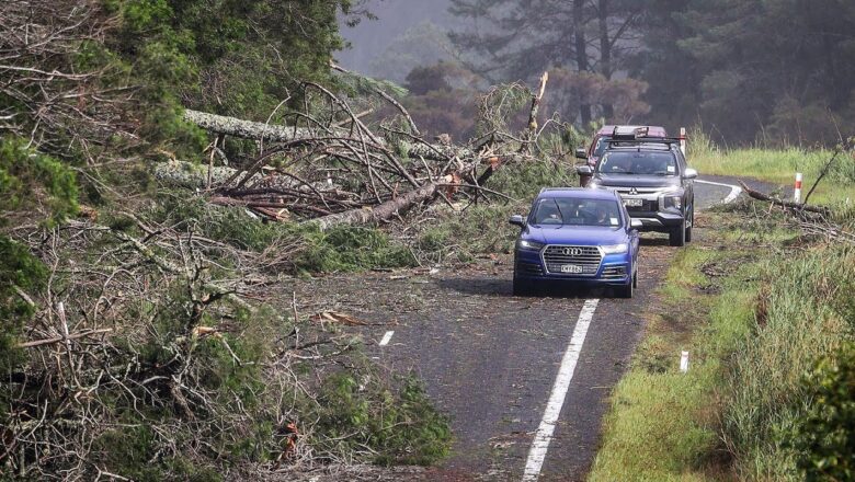 New Zealand declares national state of emergency after cyclone Gabrielle sweeps through north island